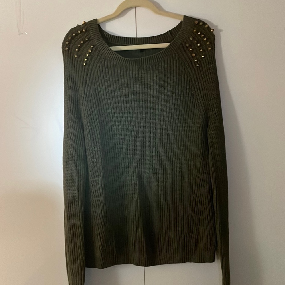 Gorgeous green express sweater!